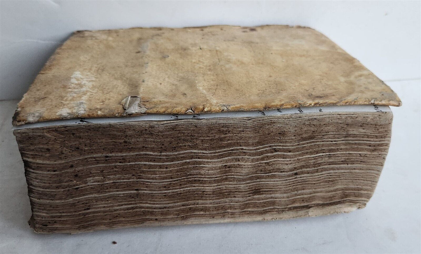 1697 BIBLE ILLUSTRATED antique VELLUM BOUND in LATIN BIBLIA SACRA