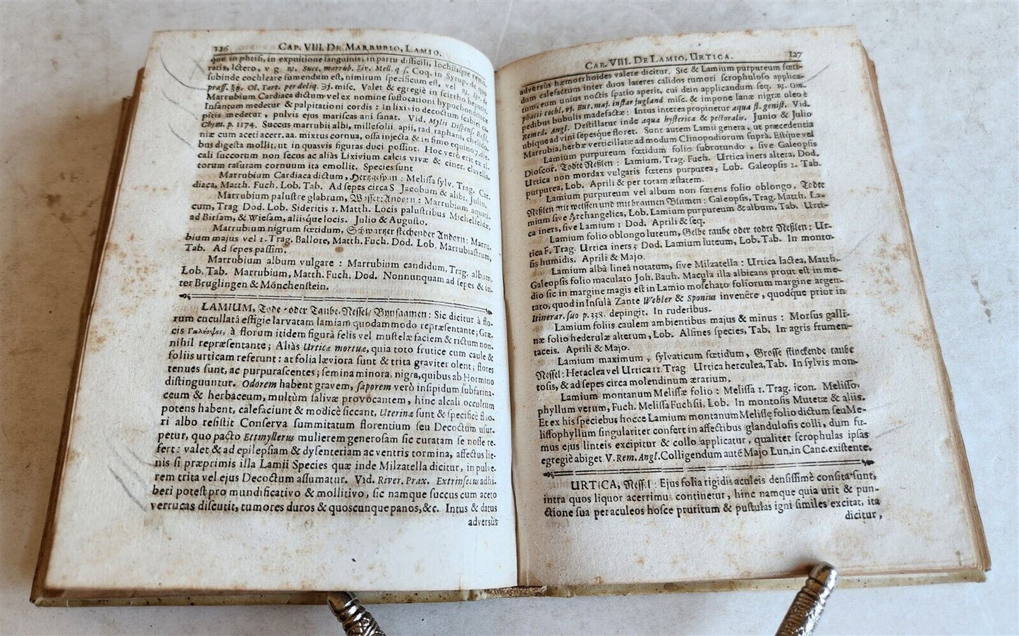 1696 PLANTARUM REGNI VEGETABILIS antique VELLUM VEGETABLE KINGDOM PLANTS