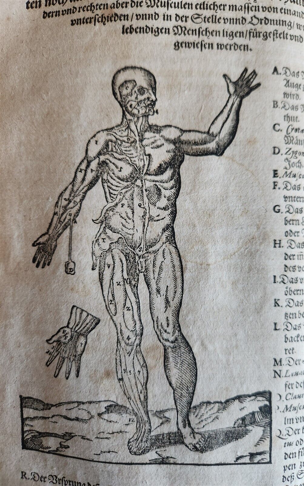 1601 WOUND MEDICINE antique ILLUSTRATED WundArtzney oder Artzney spiegell FOLIO