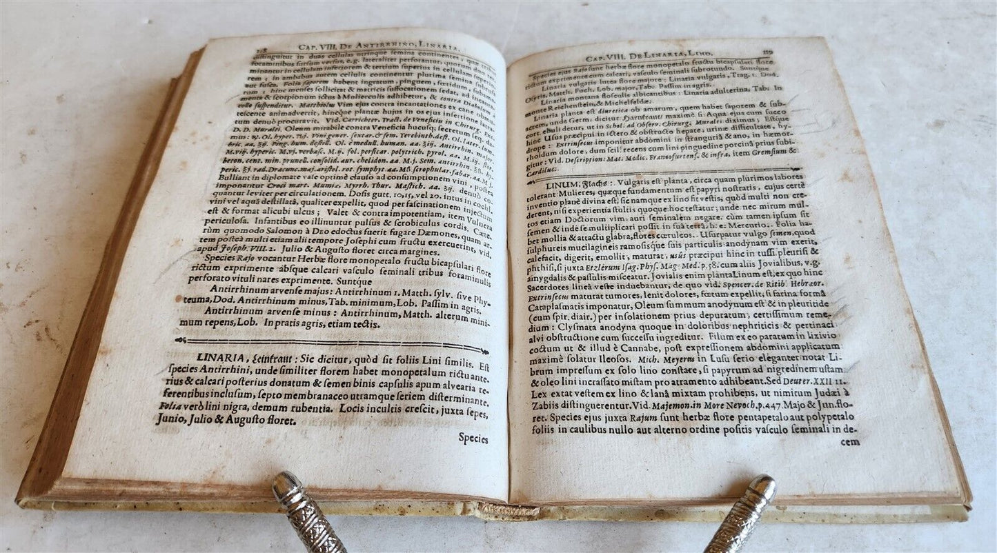 1696 PLANTARUM REGNI VEGETABILIS antique VELLUM VEGETABLE KINGDOM PLANTS