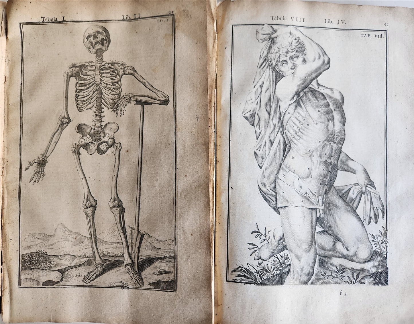 1645 ANATOMY TREATISE Adrian Spigelius 176 ENGRAVINGS ILLUSTRATED FOLIO antique