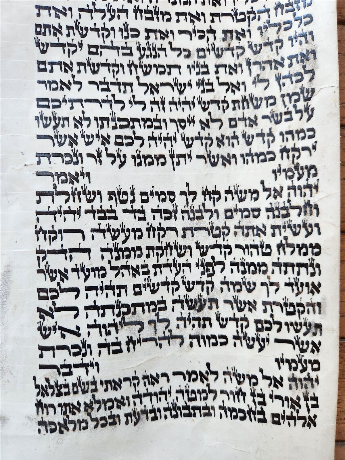 TORAH SCROLL FRAGMENT MANUSCRIPT on VELLUM antique BIBLE EXODUS 30:13-33:19