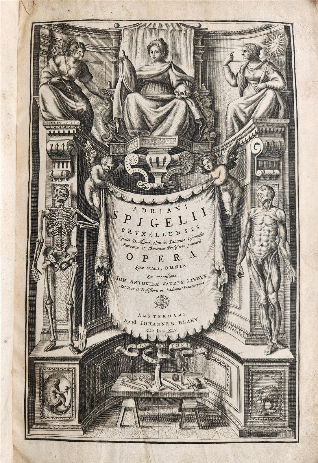 1645 ANATOMY TREATISE Adrian Spigelius 176 ENGRAVINGS ILLUSTRATED FOLIO antique