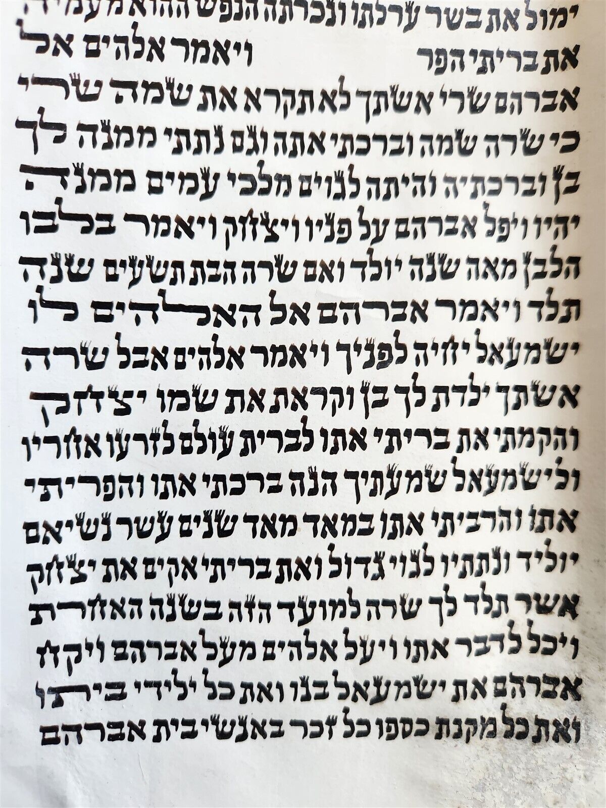 TORAH SCROLL FRAGMENT MANUSCRIPT on VELLUM antique BIBLE GENESIS 16:15 - 21:3