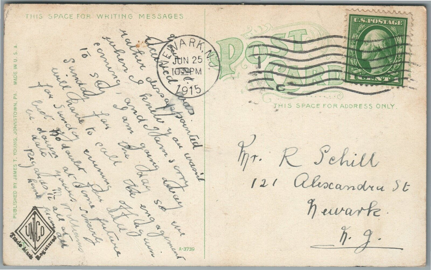 JOHNSTOWN PA CITY PARK ANTIQUE POSTCARD