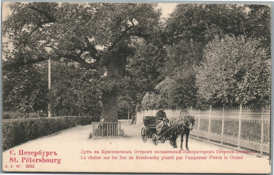 ST. PETERSBURG RUSSIA KRESTOVSKII ISLAND CZAR'S PETER I OAK ANTIQUE POSTCARD
