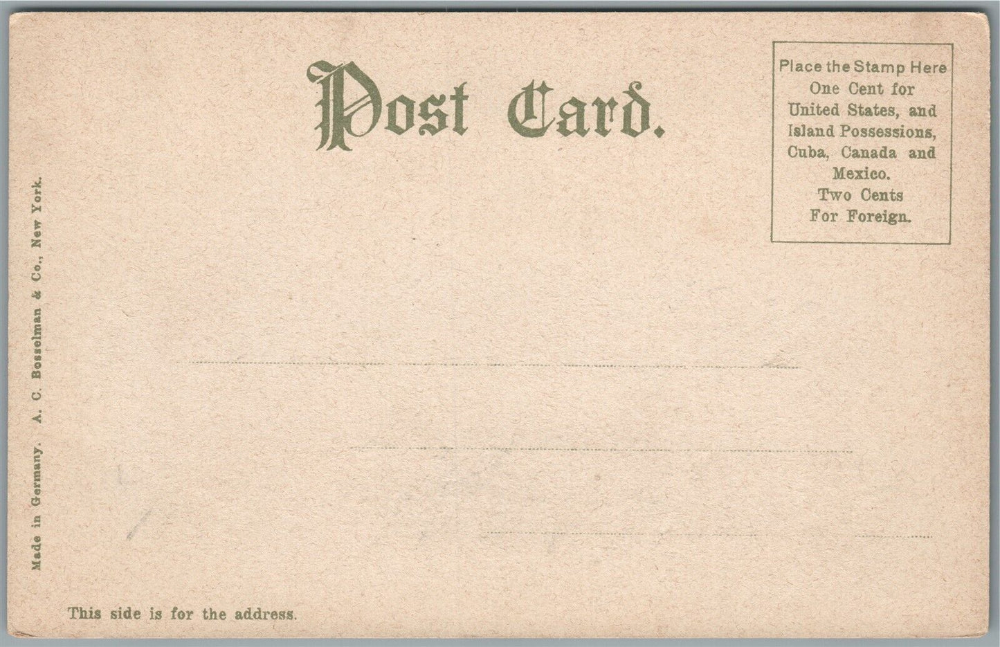 READING PA TERMINUS OF MOUNTAIN RAILROAD ANTIQUE POSTCARD