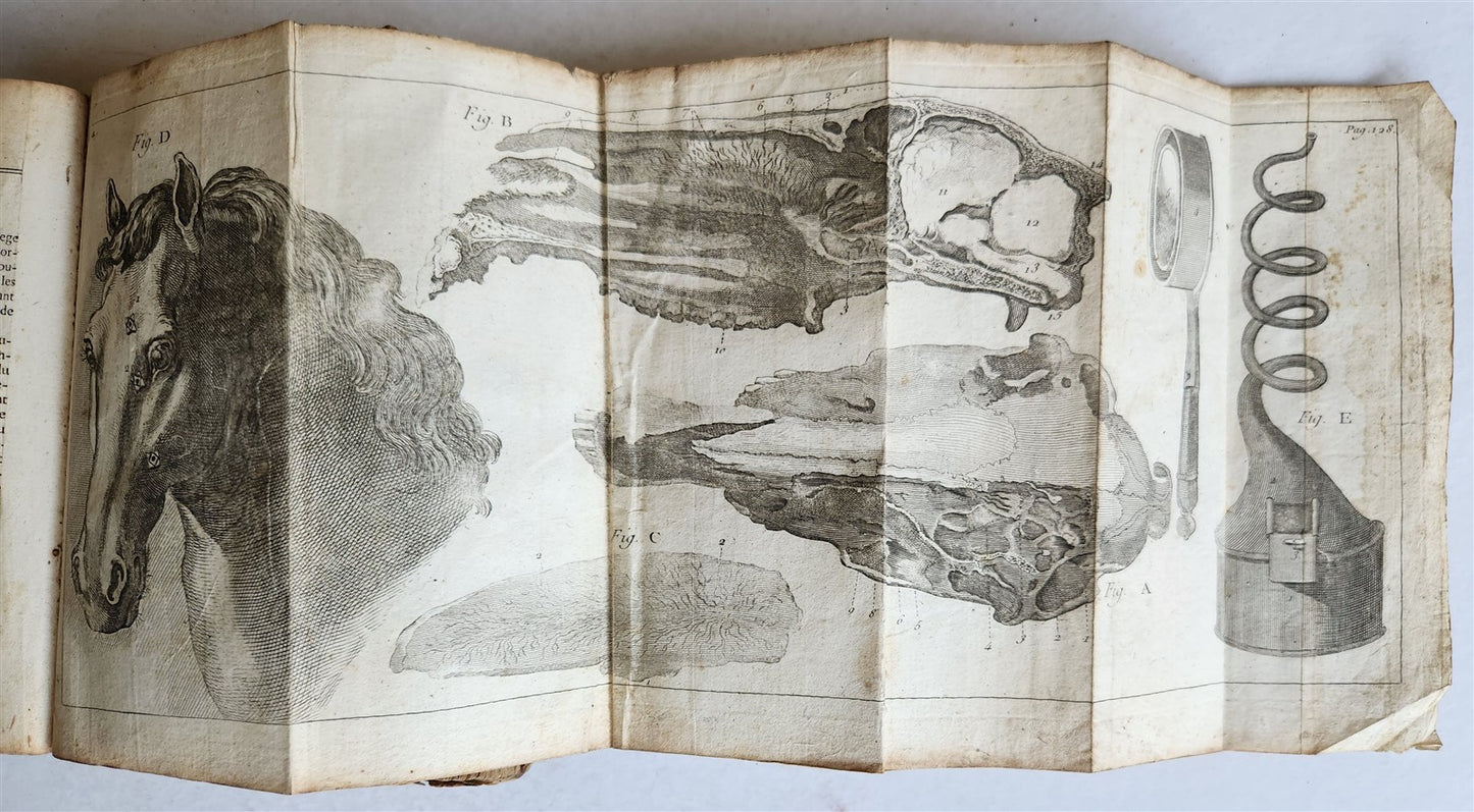 1792 HORSE ANATOMY VETERINARY TREATISE ILLUSTRATED w/ 9 WOODCUTS antique