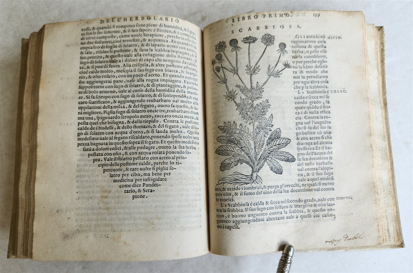 1561 PHARMACOPEIA ILLUSTRATED MEDICAL PLANTS by SANSOVINO antique 16th CENTURY