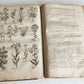 1756 BRITISH HERBAL J.HILL antique ILLUSTRATED FOLIO HISTORY OF PLANTS & TREES