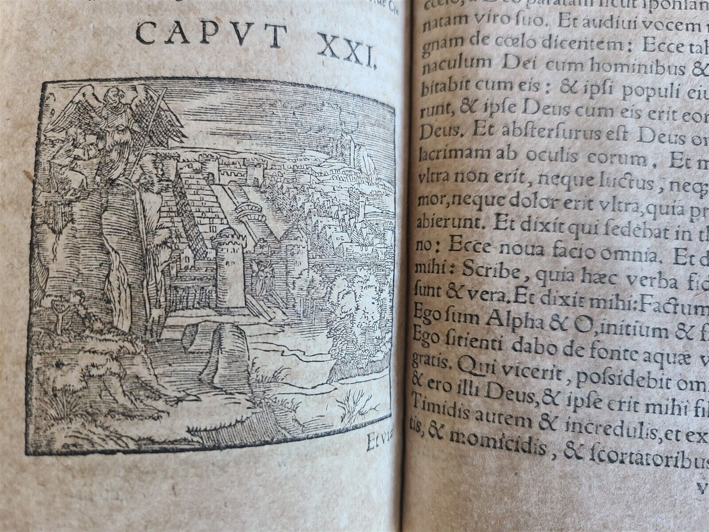 1575 APOCALYPSE COMMENTARY by D. Chytraeus ILLUSTRATED antique pigskin BINDING