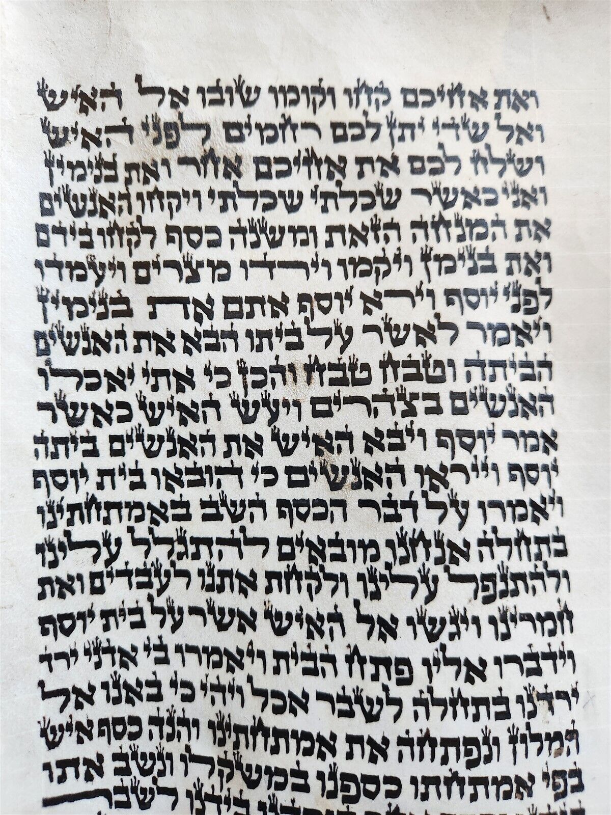 TORAH SCROLL FRAGMENT MANUSCRIPT on VELLUM antique BIBLE GENESIS 42:28 - 44:2