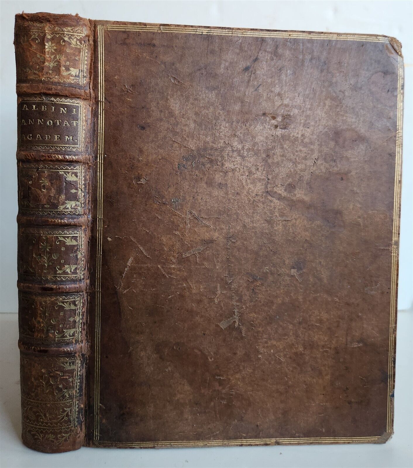 1754 ANATOMY DENTISTRY BOTANY antique ILLUSTRATED Continet anatomica physiology