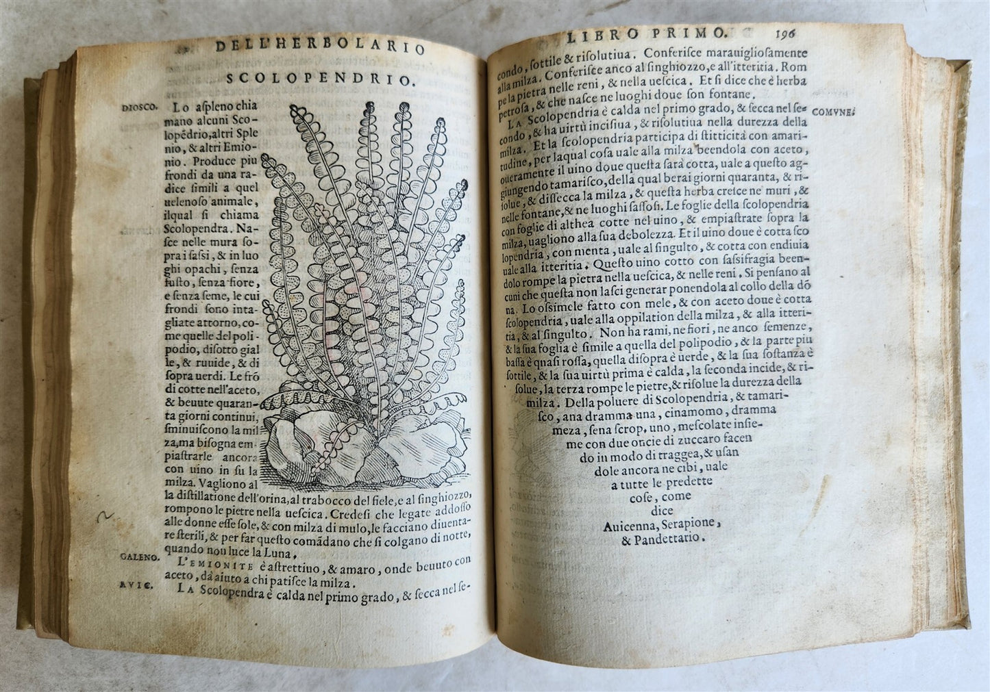 1561 PHARMACOPEIA ILLUSTRATED MEDICAL PLANTS by SANSOVINO antique 16th CENTURY