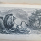 1868 NILE TRIBUTARIES OF ABYSSINIA SWORD HUNTERS of HAMRAN ARABS ILLUSTR antique