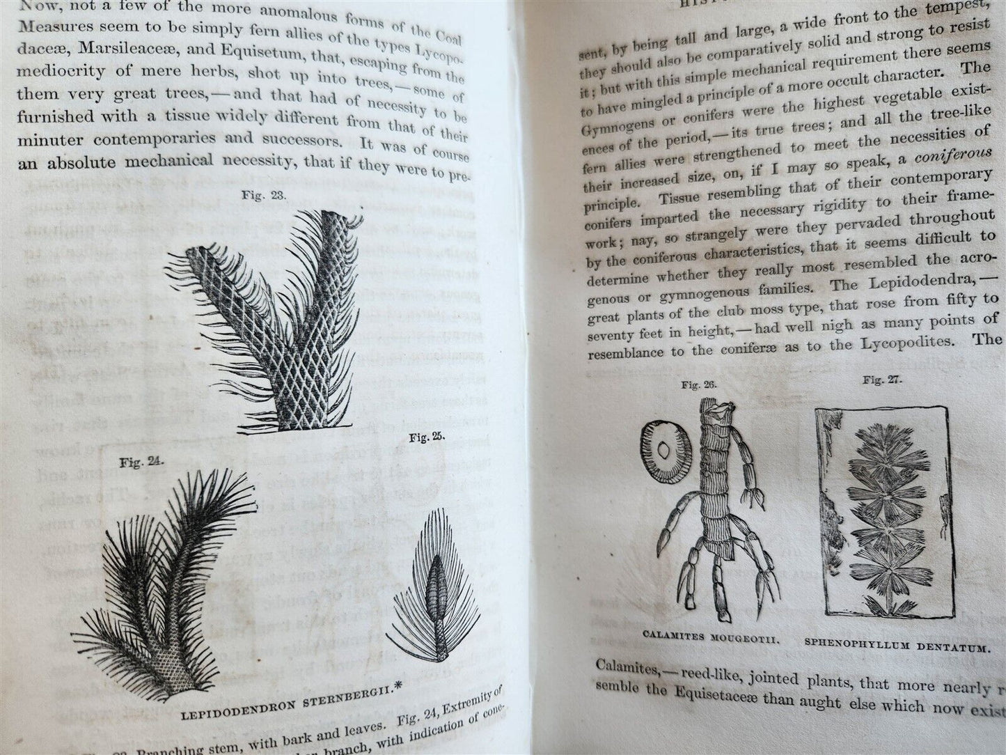 1860 TESTIMONY of the ROCKS or GEOLOGY IN ITS BEARINGS by HUGH MILLER antique