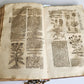 1696 THEATRUM BOTANICUM by Theodor ZWINGER antique ILLUSTRATED FOLIO in GERMAN