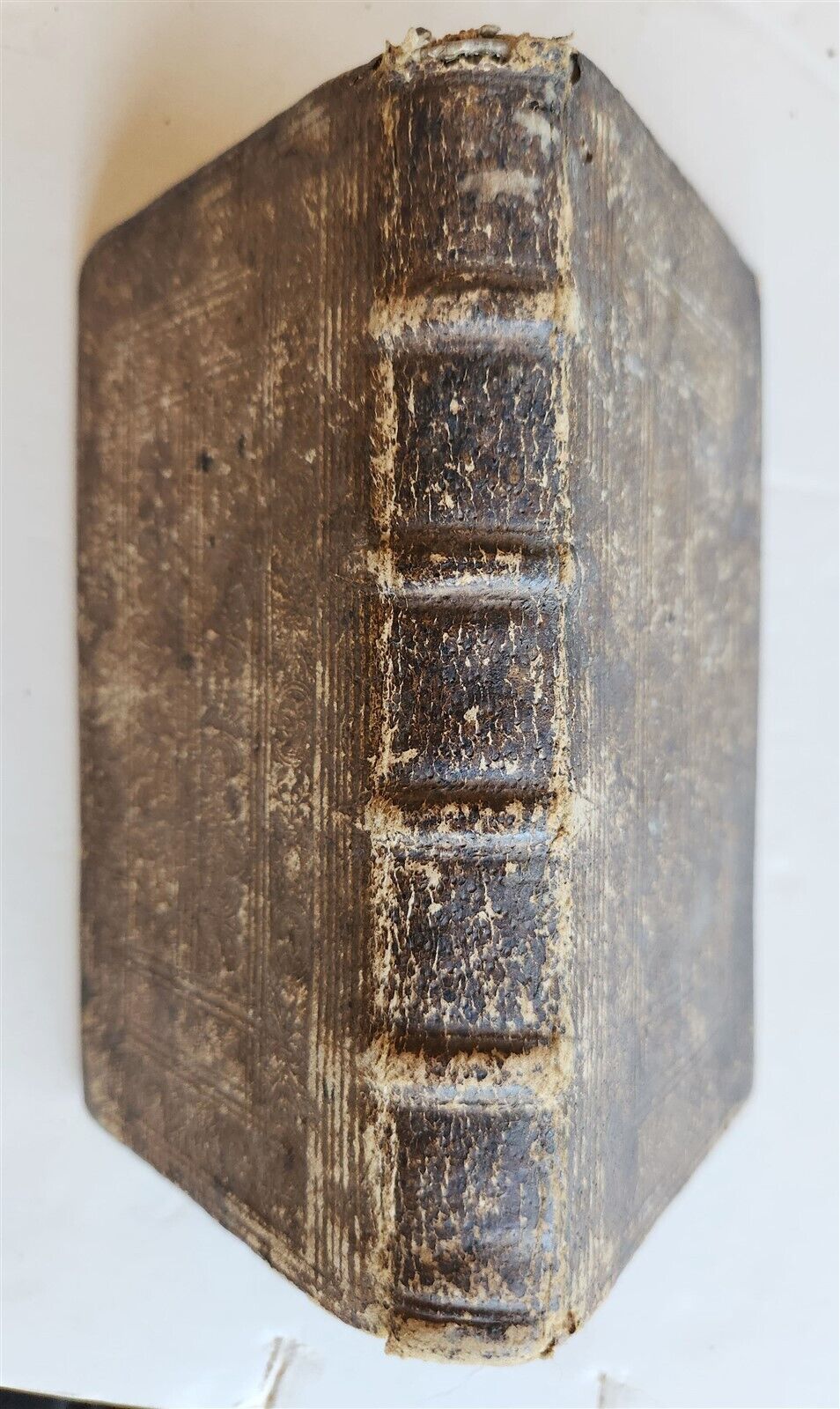 1597 ANALYSIS LOGICA by JOHANNES PISCATOR antique RARE pigskin binding 16th cen