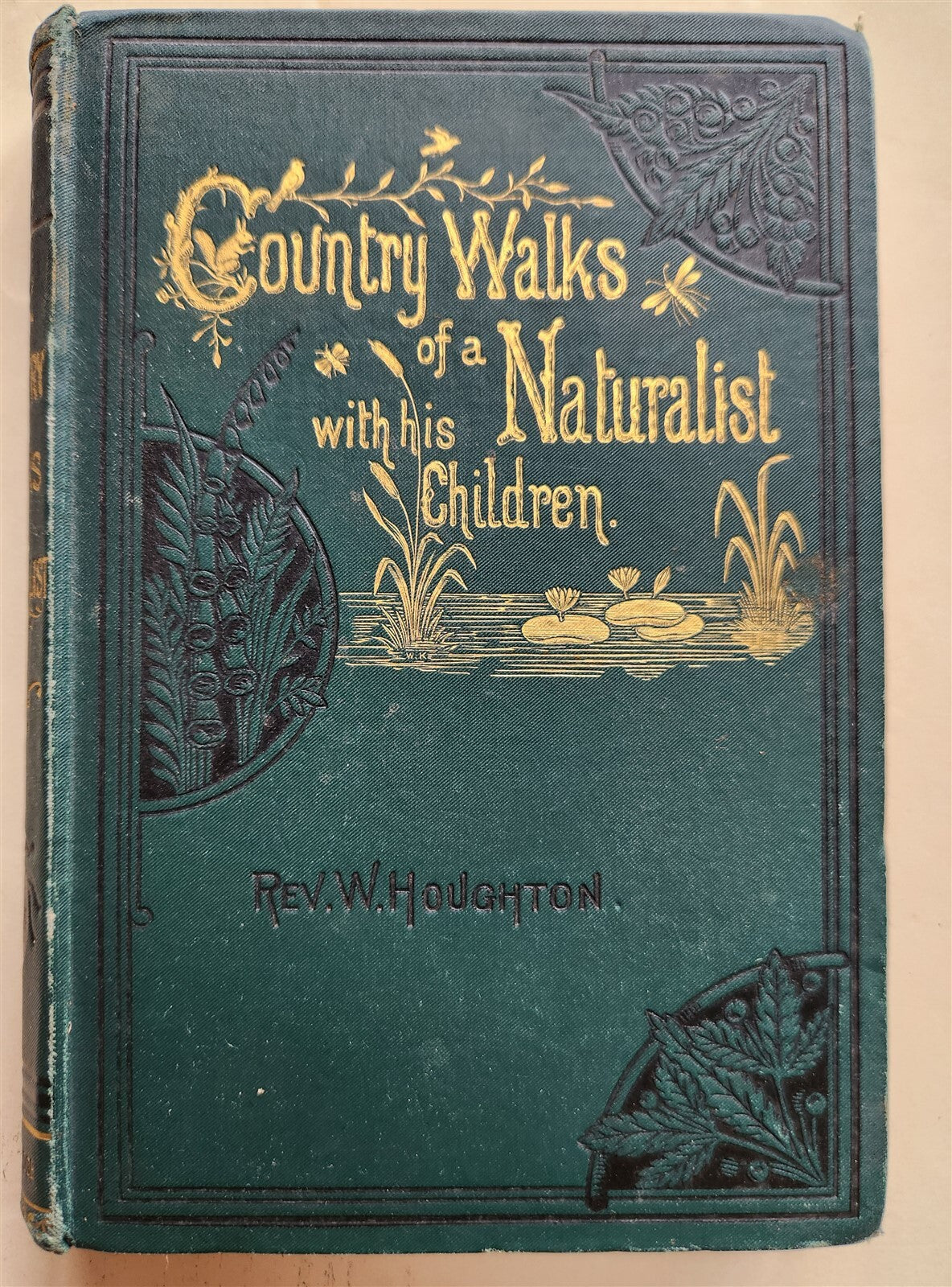 1878 COUNTRY WALKS of a NATURALIST with HIS CHILDREN antique ILLUSTRATED