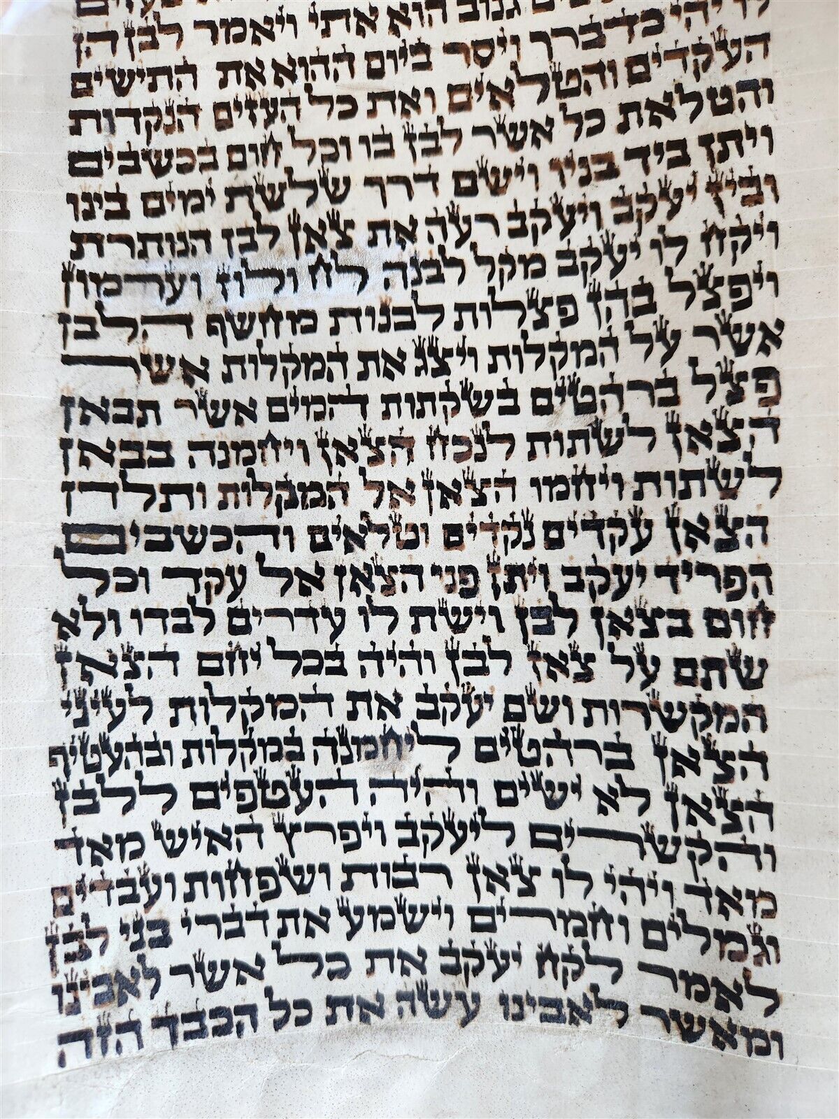 TORAH SCROLL FRAGMENT MANUSCRIPT on VELLUM antique BIBLE GENESIS 24:64 - 31:1