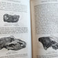 1860 TESTIMONY of the ROCKS or GEOLOGY IN ITS BEARINGS by HUGH MILLER antique