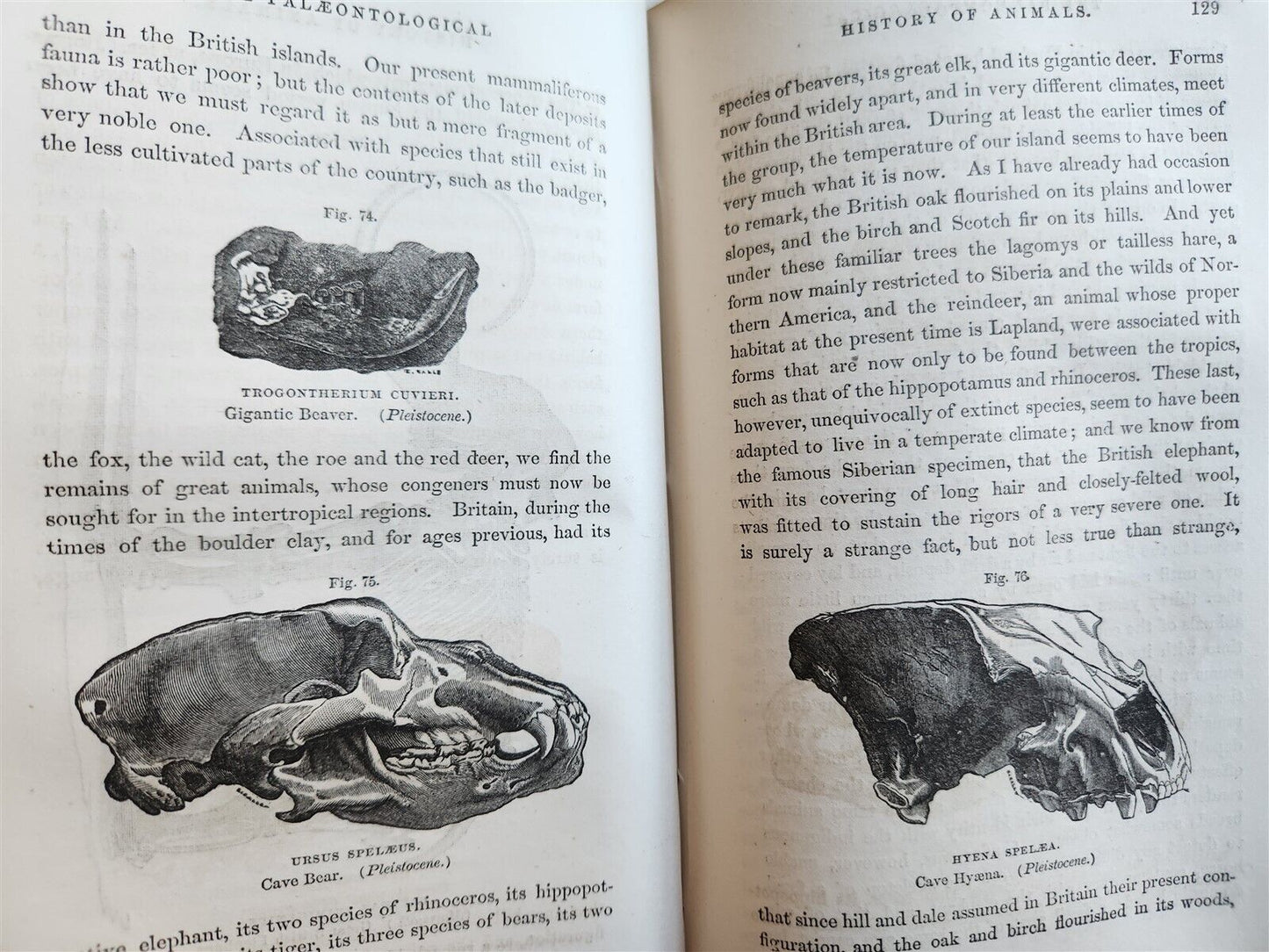 1860 TESTIMONY of the ROCKS or GEOLOGY IN ITS BEARINGS by HUGH MILLER antique