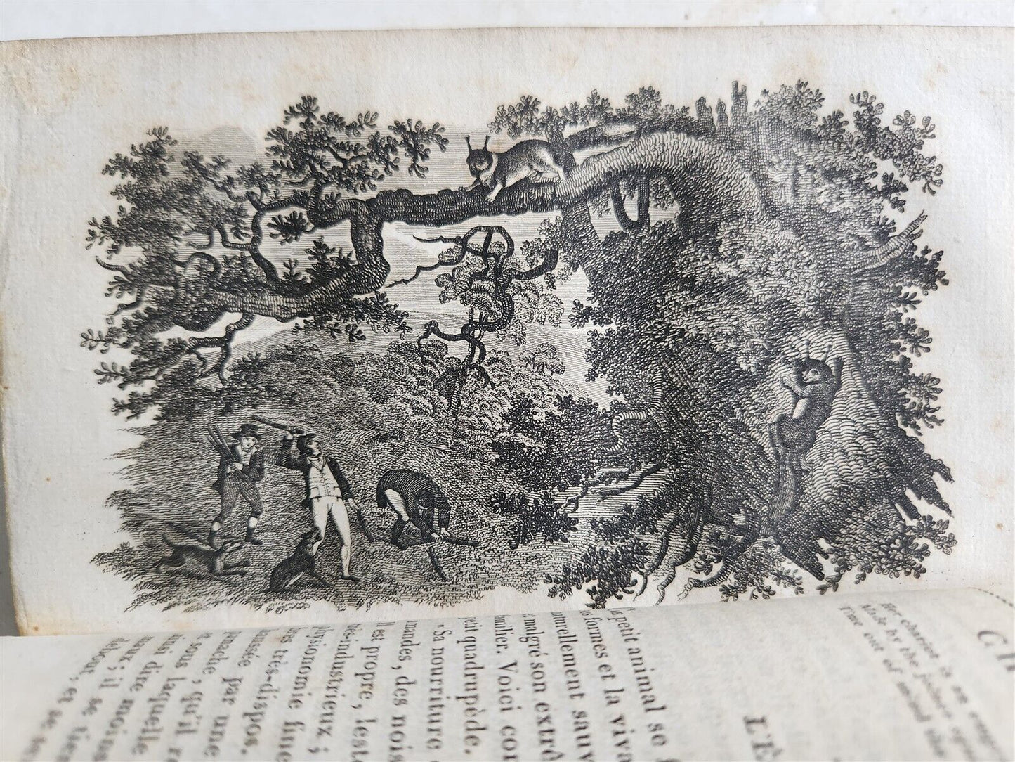 1818 HISTORY of ANIMALS ILLUSTRATED w/ 65 PLATES antique 6 VOLUMES