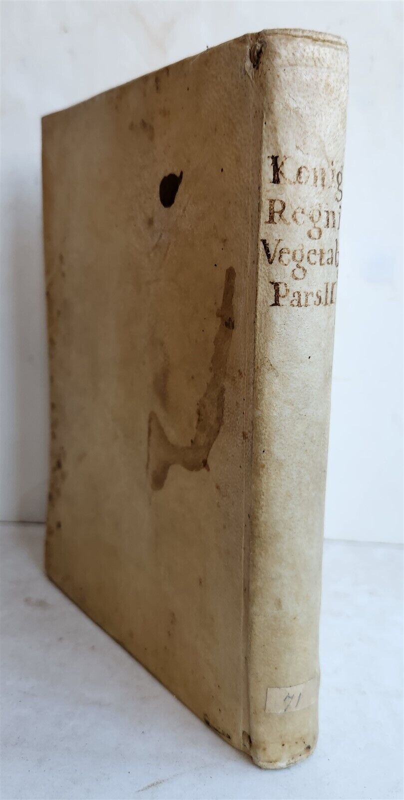 1696 PLANTARUM REGNI VEGETABILIS antique VELLUM VEGETABLE KINGDOM PLANTS