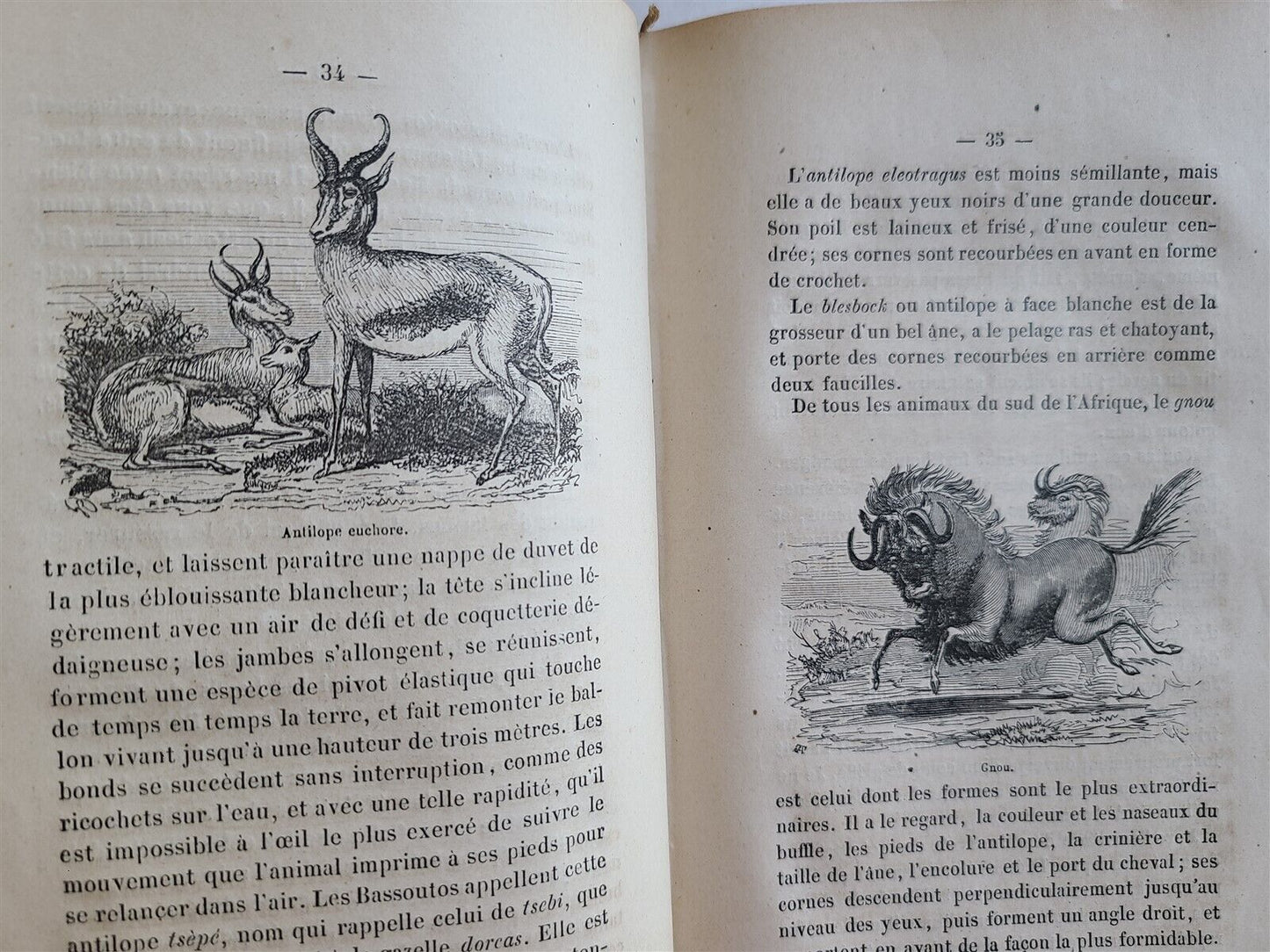 1859 AFRICA TRAVELS antique ILLUSTRATED Les Bassoutos ou vingt-trois annees