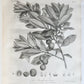 1801 SILVA: DISCOURSE OF FOREST TREES 2 VOLUMES ILLUSTRATED antique in ENGLISH