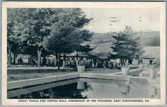 EAST STROUDSBURG PA TROUT POOL PINESBOOK in POCONOS ANTIQUE POSTCARD