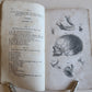 1822 ENGRAVINGS OF THE HUMAN BONES by WILLIAM CHESELDEN ILLUSTRATED antique