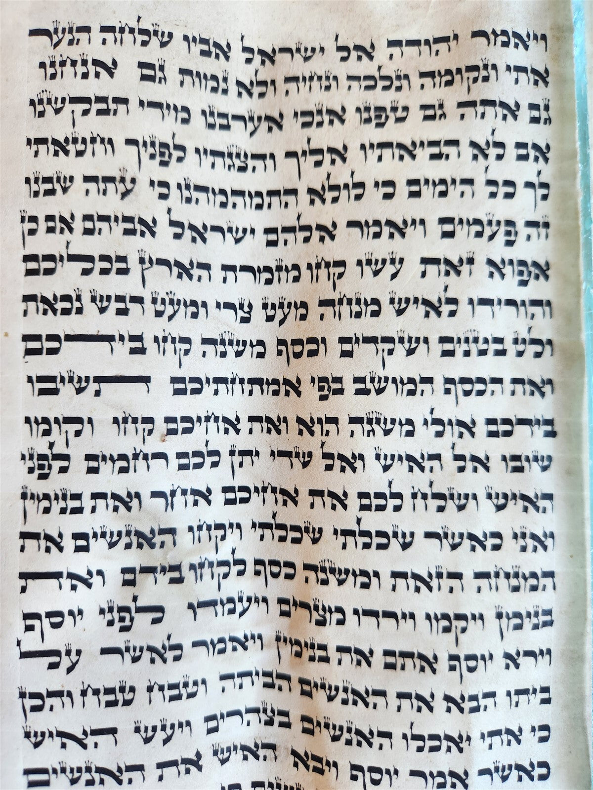 TORAH SCROLL FRAGMENT MANUSCRIPT on VELLUM antique BIBLE DEUTERONOMY 11:4-13:12