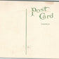 SPRINGFIELD IL OAK RIDGE CEMETERY ANTIQUE POSTCARD