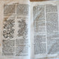 1744 THEATRUM BOTANICUM ILLUSTRATED GERMAN HERBAL antique PIGSKIN BOUND FOLIO