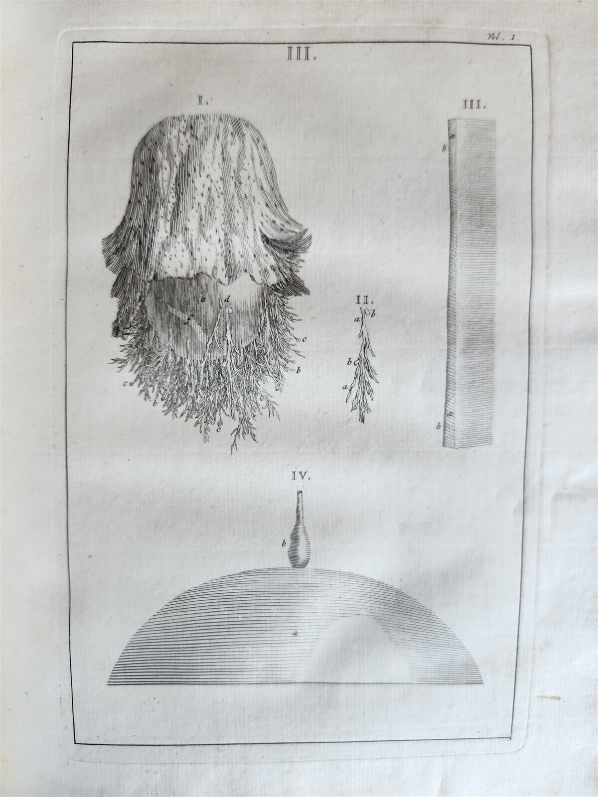 1754 ANATOMY DENTISTRY BOTANY antique ILLUSTRATED Continet anatomica physiology
