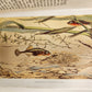 1878 COUNTRY WALKS of a NATURALIST with HIS CHILDREN antique ILLUSTRATED