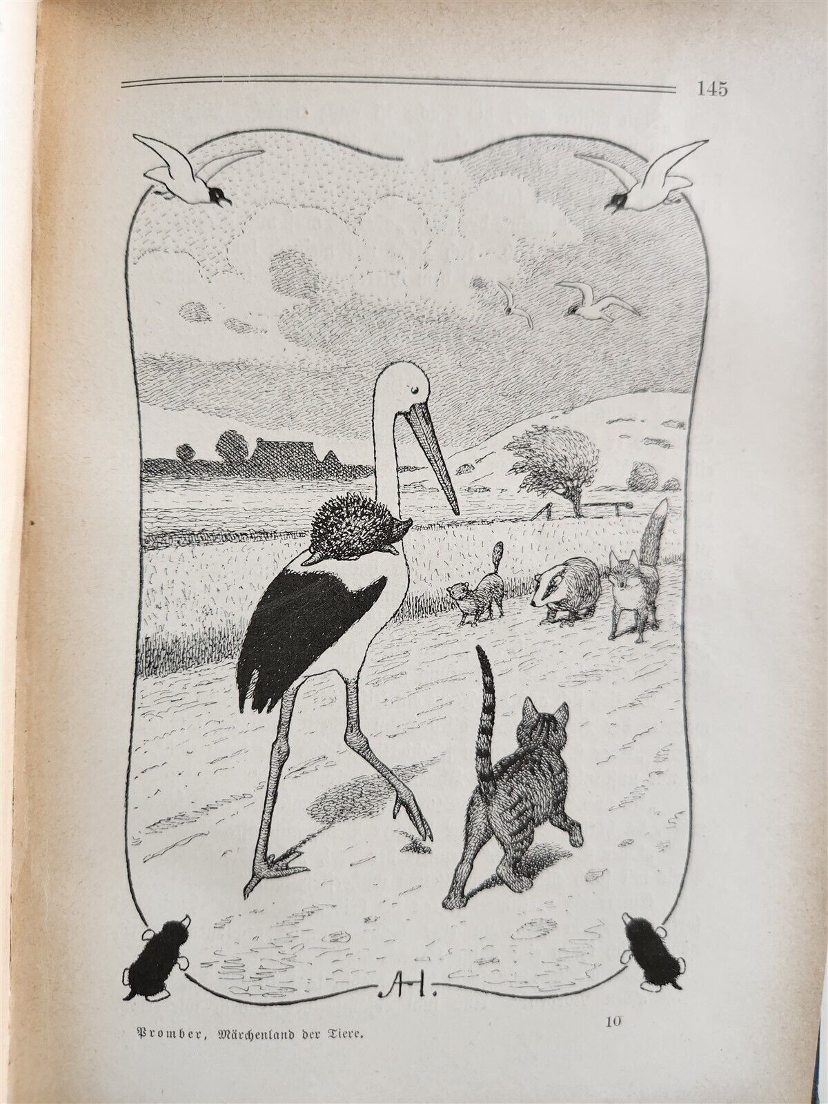 1900s ILLUSTRATED GERMAN CHILDREN BOOK antique FAIRYTALE LAND OF ANIMALS