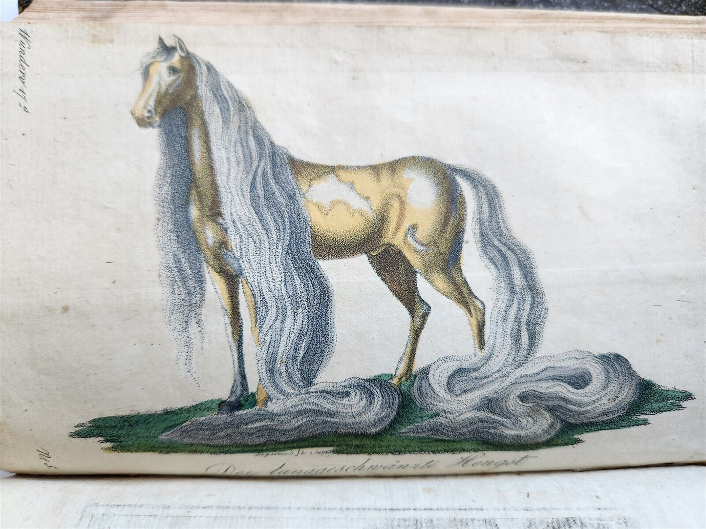 1803-04 EXTRAORDINARY in NATURE ART & HUMAN LIFE 2 VOLUMES antique ILLUSTRATED