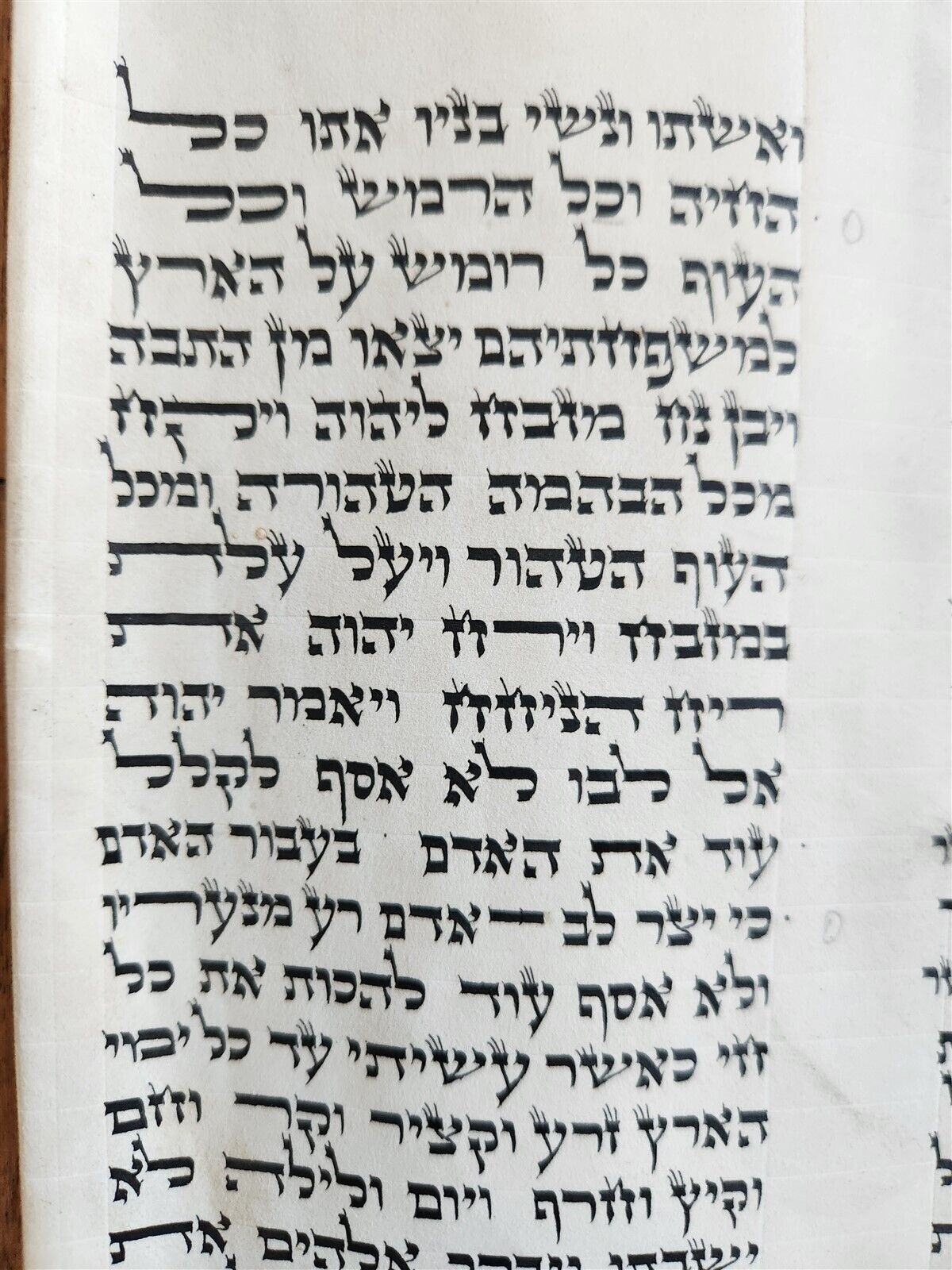 TORAH SCROLL FRAGMENT MANUSCRIPT on VELLUM antique BIBLE GENESIS ADAM & EVE