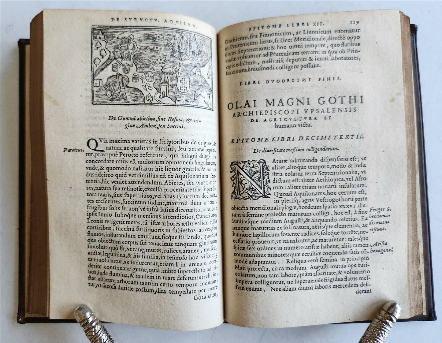 1558 ILLUSTRATED SCANDINAVIA antique Historia de Gentibus Septentrionalibus RARE