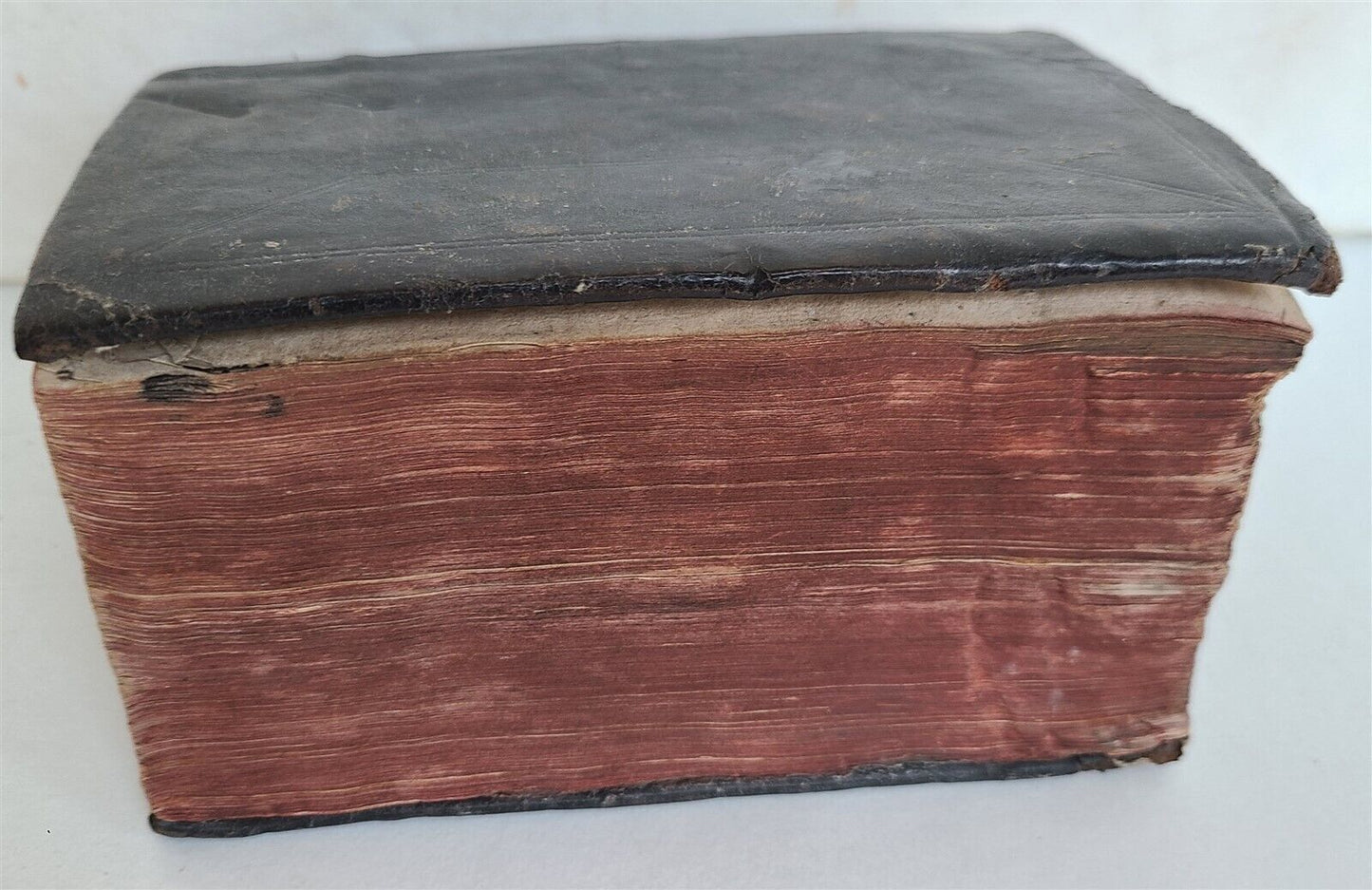 1555 FRENCH HISTORY antique Concordat of Bologna 16th CENTURY