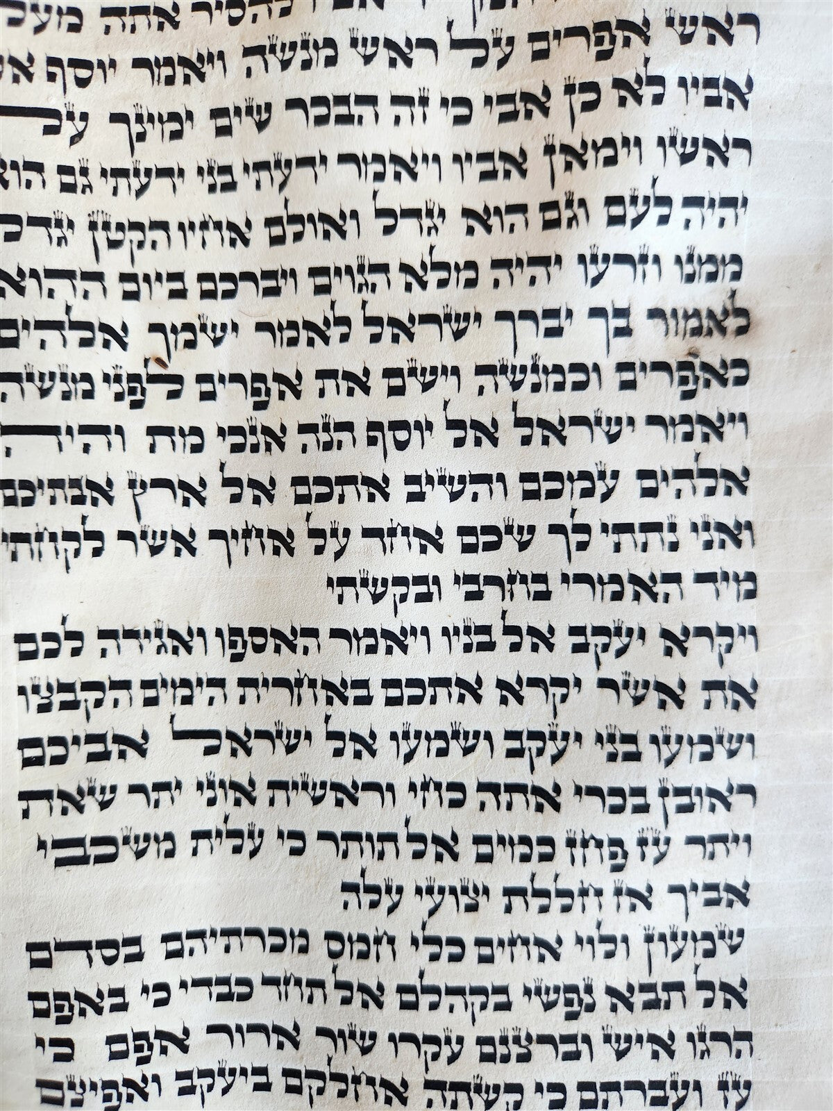 TORAH SCROLL FRAGMENT MANUSCRIPT on VELLUM antique BIBLE DEUTERONOMY 11:4-13:12