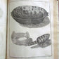 1788 ACCOUNT OF PELEW ISLANDS by George Keate ANTIQUE ILLUSTRATED Palau ENGLISH