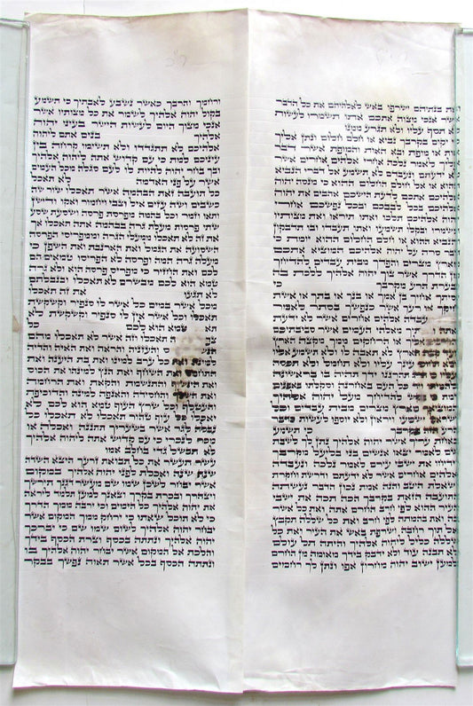 TORAH SCROLL FRAGMENT MANUSCRIPT VELLUM ANTIQUE BIBLE DEUTERONOMY 12:31-14:26