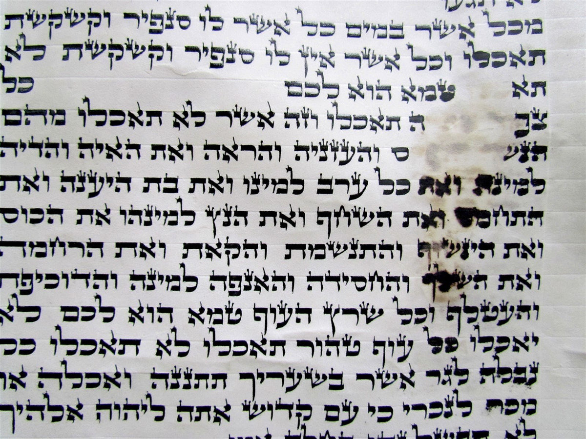 TORAH SCROLL FRAGMENT MANUSCRIPT VELLUM ANTIQUE BIBLE DEUTERONOMY 12:31-14:26