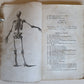 1822 ENGRAVINGS OF THE HUMAN BONES by WILLIAM CHESELDEN ILLUSTRATED antique