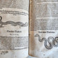 1601 WOUND MEDICINE antique ILLUSTRATED WundArtzney oder Artzney spiegell FOLIO