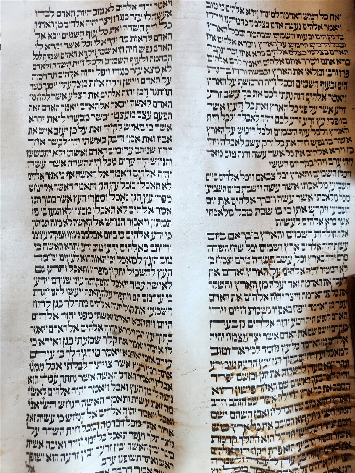 TORAH SCROLL FRAGMENT MANUSCRIPT on VELLUM antique BIBLE GENESIS first chapters