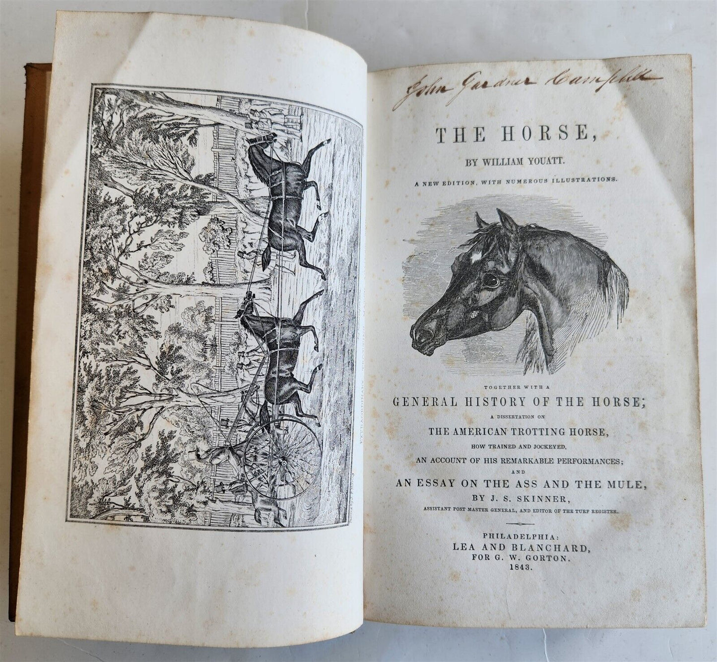 1843 THE HORSE by WILLIAM YOUATT antique ILLUSTRATED